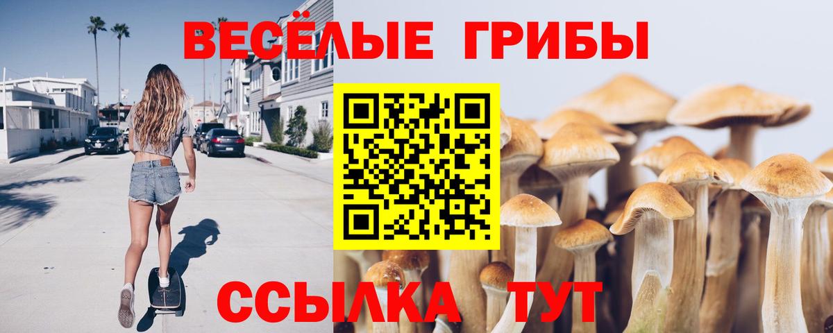 Псилоцибиновые грибы ЛСД  Вход с VPN  Аша  Псилоцибиновые грибы Psilocybine cubensis 